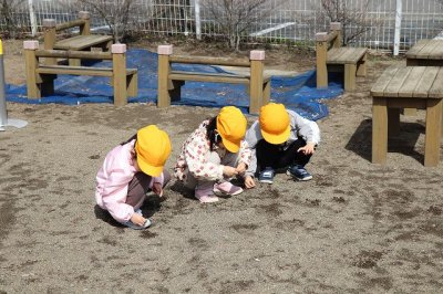 20250421-18.jpg