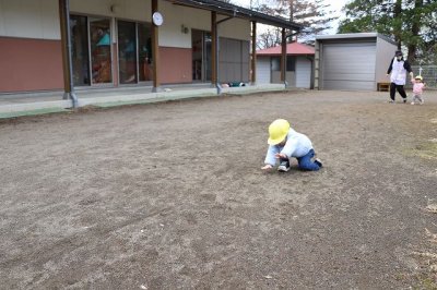 20250421-85.jpg 20250421-85.jpg