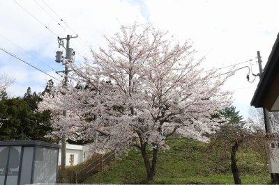 20250424-4.jpg